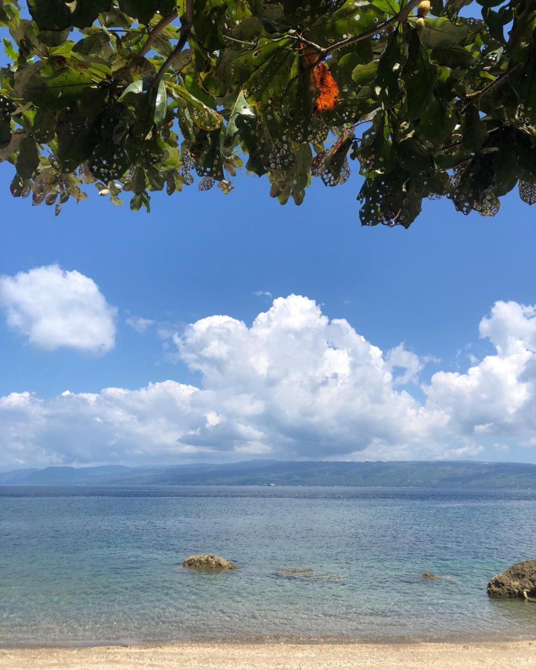 Wuthering Heights Bed & Breakfast By The Sea Dumaguete City Екстериор снимка