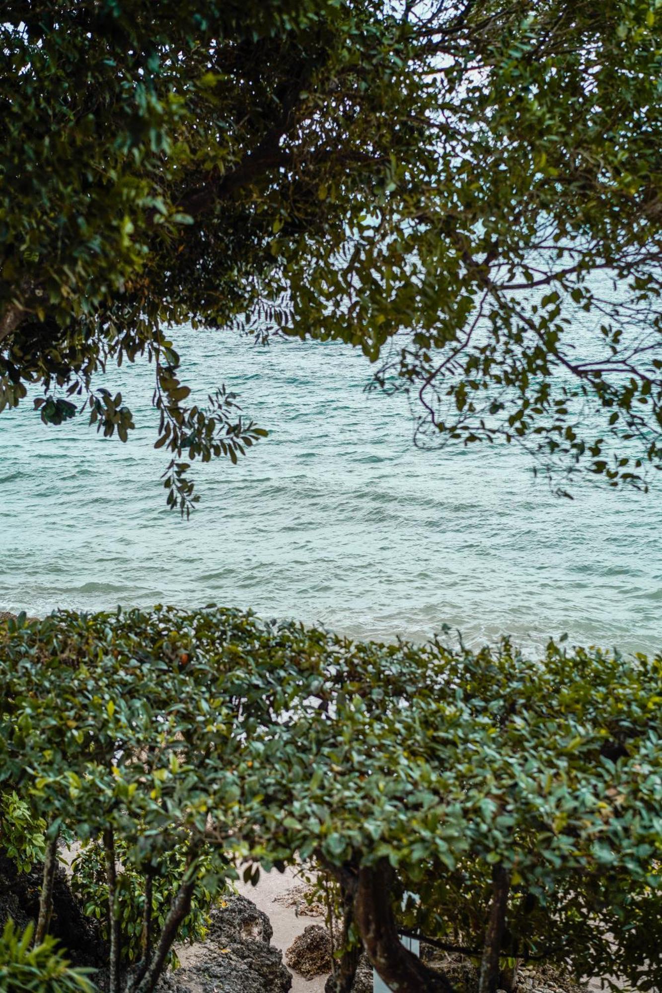 Wuthering Heights Bed & Breakfast By The Sea Dumaguete City Екстериор снимка